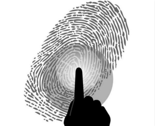 智能设备销量持续上涨 指纹芯片市场需求较高