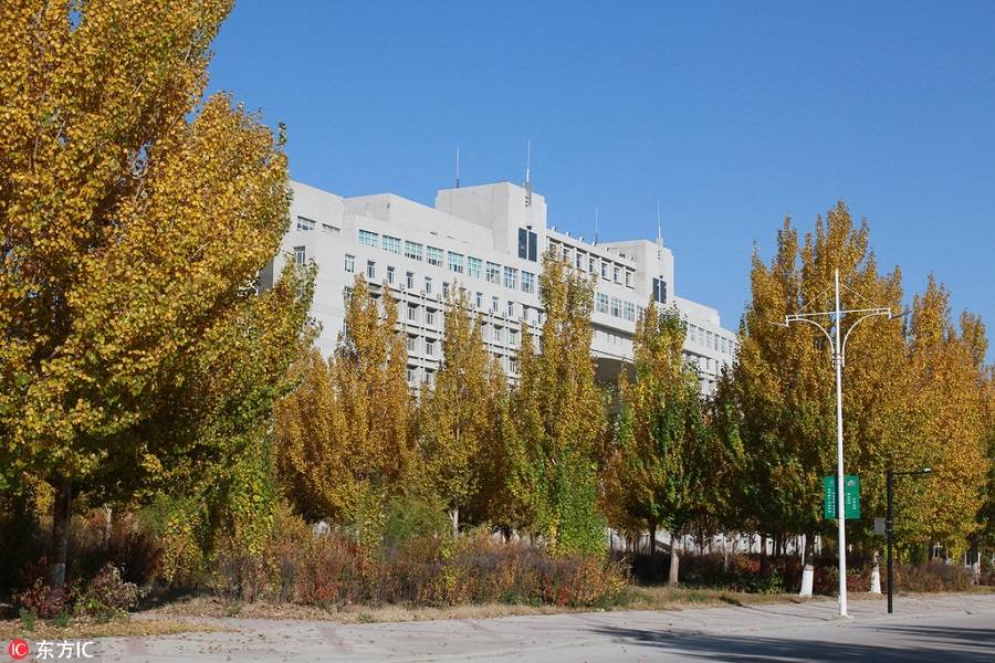pbu899398_03.jpg